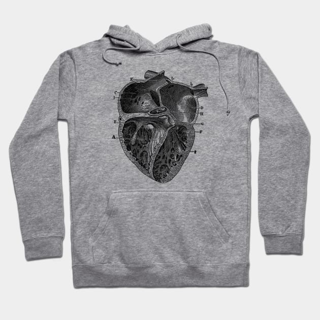 Inner Heart Diagram - Vintage Anatomy Hoodie by Vintage Anatomy Prints